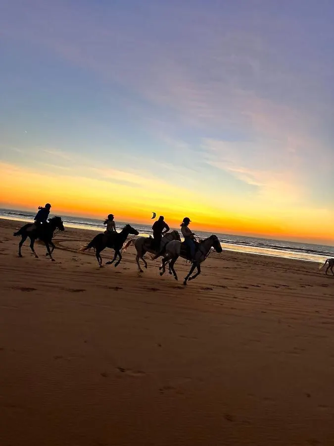 Surfcamplagrotte Hotel Essaouira